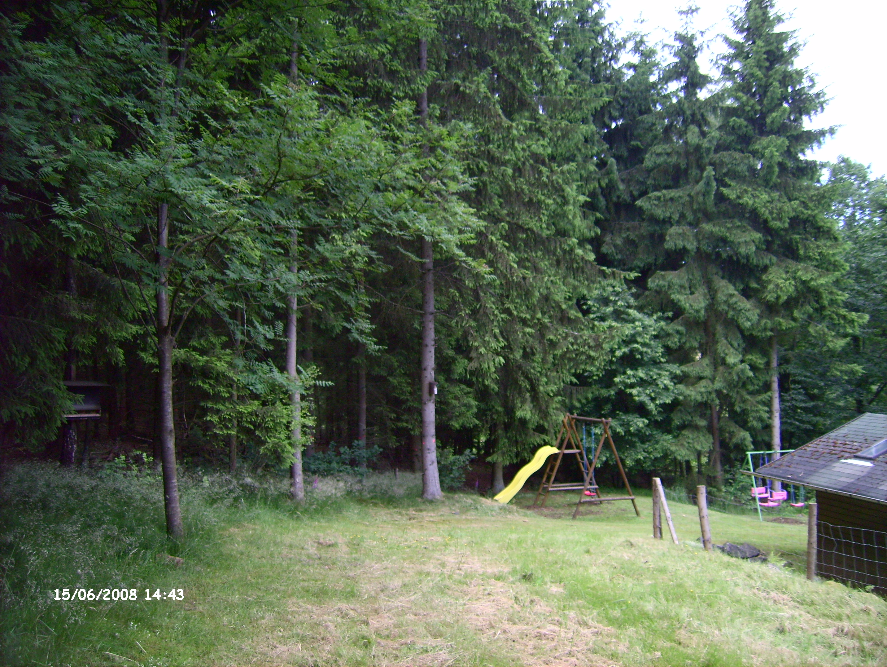 LPIC3595
